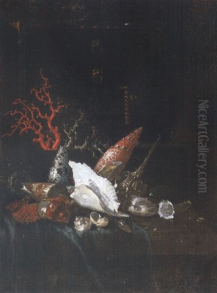 Still Life Of Coral And Sea Shells Together With A Jewelry Casket Upon A Partly Draped Stone Ledge - view 1