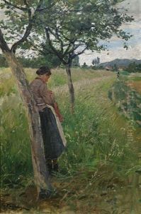 Madchen Im Feld