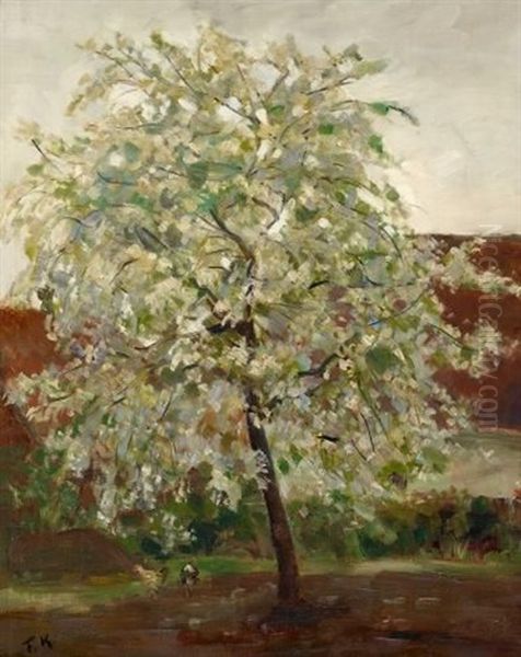 Bluhender Kirschbaum - view 1