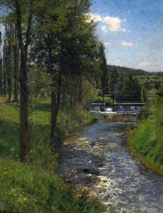 Wiese Am Bach Mit Stauwehr (sommer)