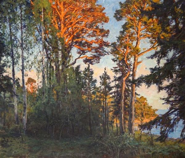 Autumn Light - view 1