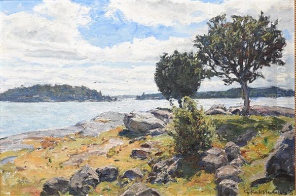 Skargardslandskap - view 1