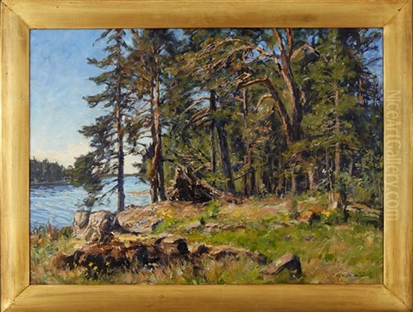 Solbelysta Tallar - view 1