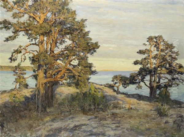 Coastal Landscape At Sunset - view 1