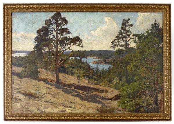 Skargardslandskap Med Tallar - view 1