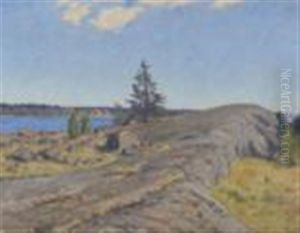 Sunlit Landscape