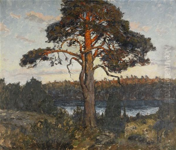 Solbelysta Tallar - view 1