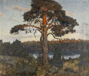 Solbelysta Tallar by Gottfrid Kallstenius