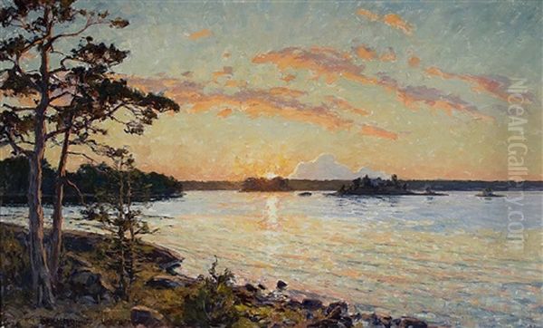 Solbelyst Skargardslandskap Med Tallar - view 1