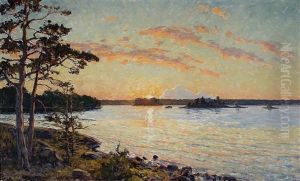 Solbelyst Skargardslandskap Med Tallar