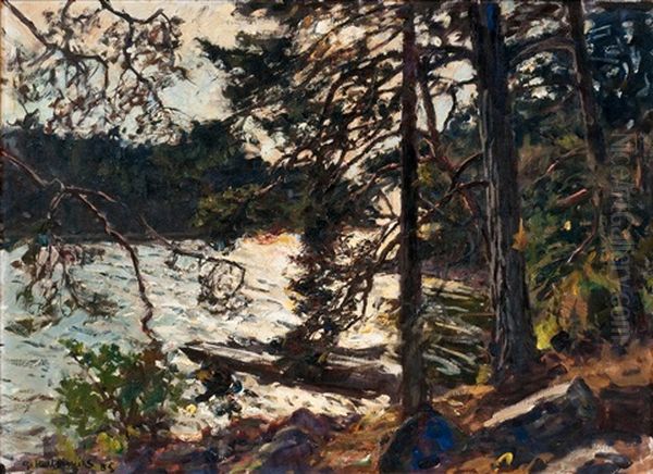 A Forest Torrent - view 1
