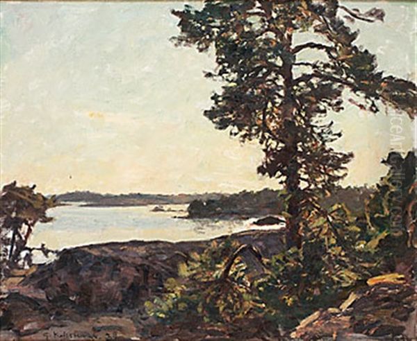 Solbelysta Tallar - view 1