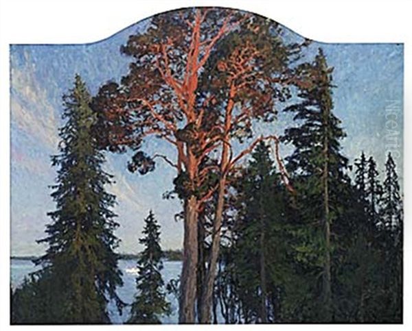 Midsommarnatt - view 1
