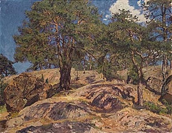 Solbelysta Tallar - view 1