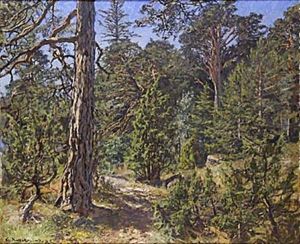 Manberget, Kallvik, Vastervik Manberget, Kallvik, Vastervik