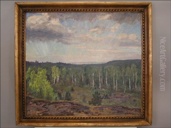 Nakyma Metsan Ylitse - view 1