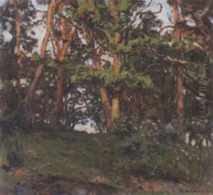Afton Pa Skargardso - Motiv Fran Kallvik by Gottfrid Kallstenius