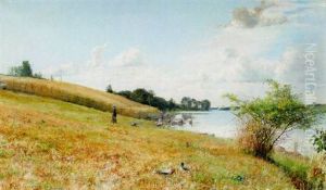 Sommarlandskap, Breviksudden Sommarlandskap, Breviksudden