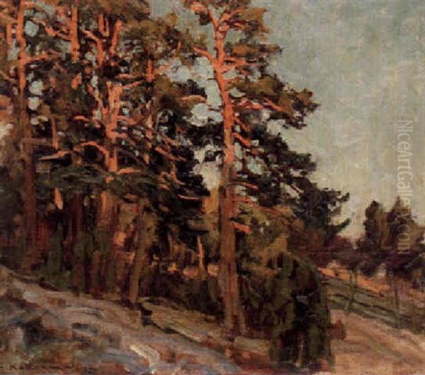 Solbelysta Tallar - view 1