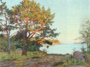 Tallar I Kvallssol by Gottfrid Kallstenius