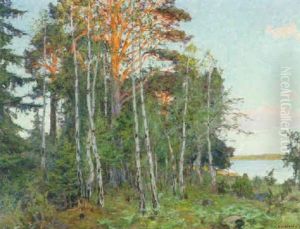 Sobelysta Tallar