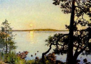 Tallar I Kvallsol by Gottfrid Kallstenius