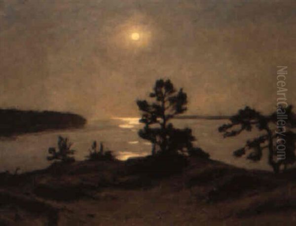 Sol Over Fjard - view 1