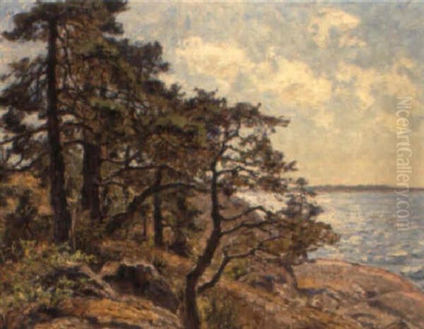 Solbelysta Tallar - view 1