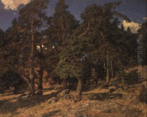 Solbelysta Tallar - view 1