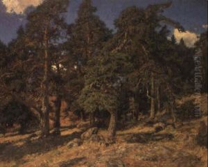 Solbelysta Tallar by Gottfrid Kallstenius