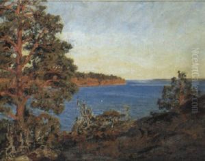 Strandlandskap I Sol - Motiv Fran K,llvik by Gottfrid Kallstenius