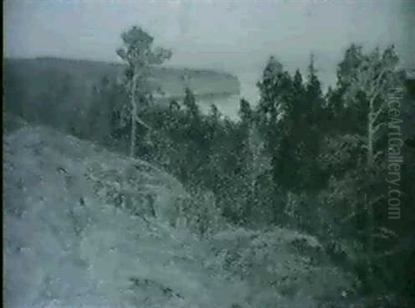 Landskap Med Tallar Vid Vatten - Aftonstamning - view 1