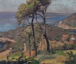 Peyzaj
