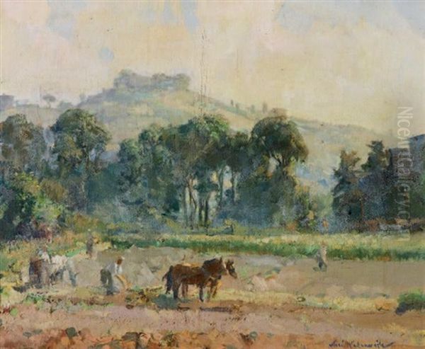 Haziran'da Sabah - view 1