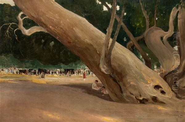 In The Shade Of Giants, California - view 1