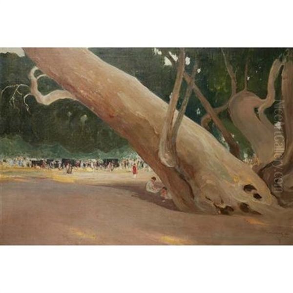 In The Shade Of Giants, California - view 1