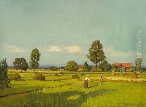 Erntenlandschaft Mit Weitem Blick In Das Land