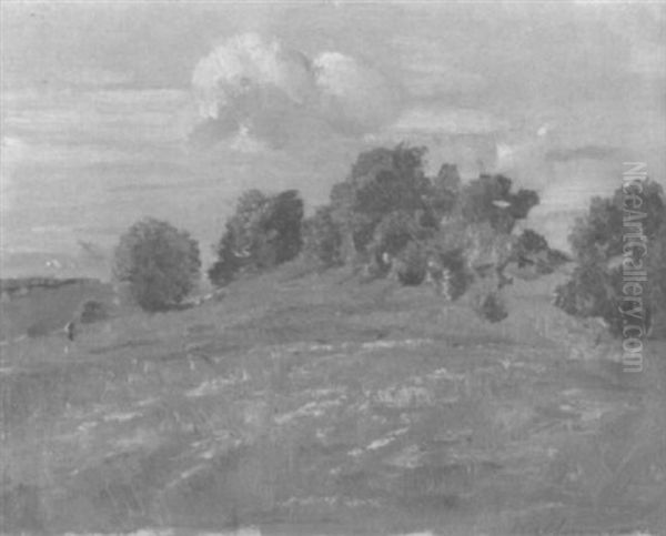 Weite Weisenlandschaft Im Sommer - view 1