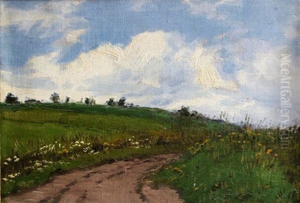 Field Road - view 1