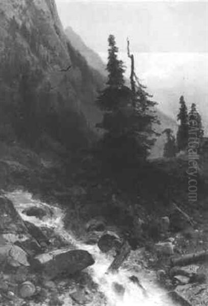 Alpine Landscape With Torrent - view 1