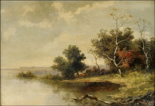 A Still Cove - view 1