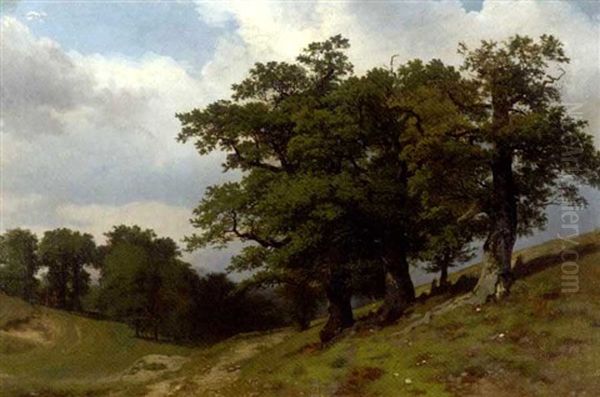 Trees On A Hillside - view 1