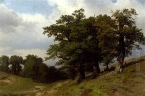 Trees On A Hillside Trees On A Hillside