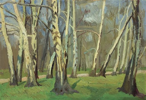 Park In Cracow - view 1