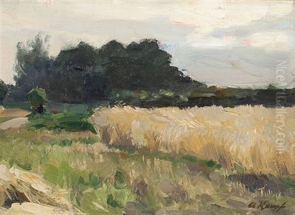 Niederrheinlandschaft Mit Kornfeld - view 1