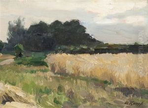 Niederrheinlandschaft Mit Kornfeld