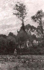 Bauerin Bei Der Kohlernte Auf Dem Feld Vor Der Ortschaft by Eugen Kampf