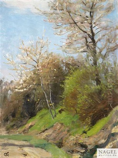 Fruhlingslandschaft In Grotzingen - view 1