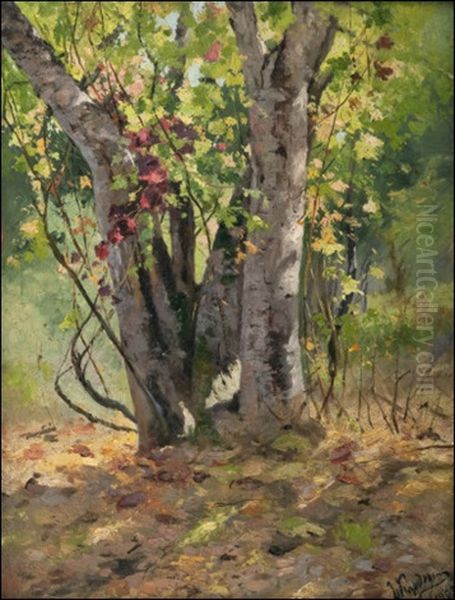 Autumn Forest - view 1