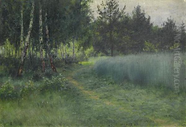 A Path Through The Glade - view 1